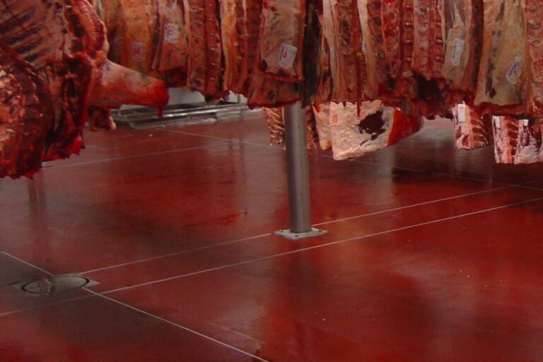 Pavimenti in resina per industria lavorazione carni