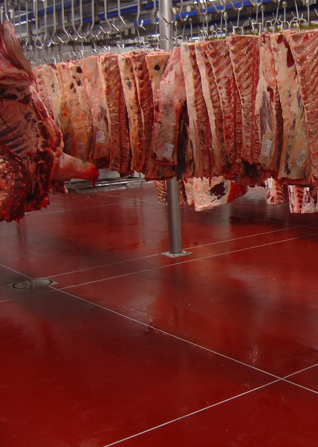 Pavimento in resina HACCP MAPEI MAPEFLOOR CPU+MF-per l'industria di lavorazione carni Marr a Cesenatico