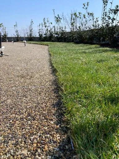 Prima Drain Stone Pavimentazione drenante outdoor vialetti pedonali e carrabili cantina vinicola