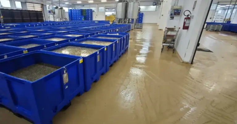 Iposea agroalimentare-pavimenti poliuretano cemento