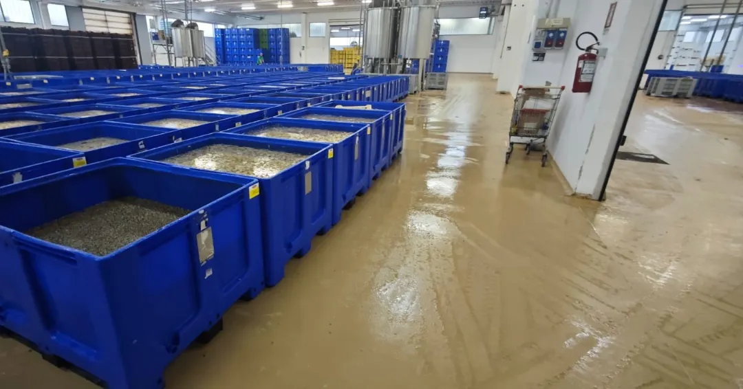 Iposea agroalimentare-pavimenti poliuretano cemento (5)