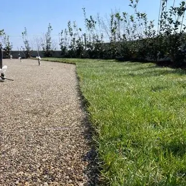 Prima Drain Stone Pavimentazione drenante outdoor vialetti pedonali e carrabili cantina vinicola